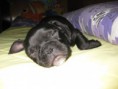 /album/fotogaleria/img-0567-3-jpg/